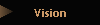 Vision